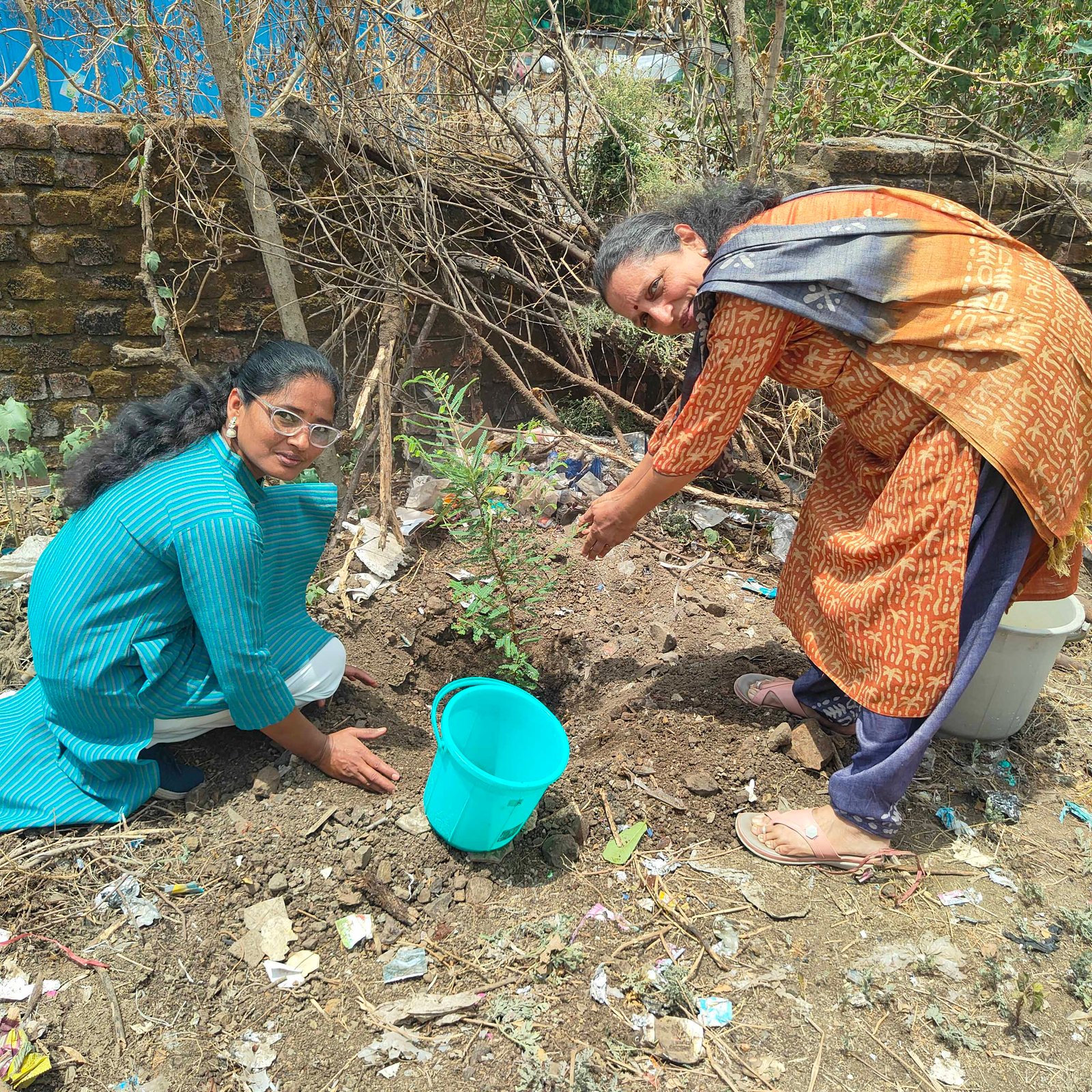 वृक्षरोपण कार्यक्रम
